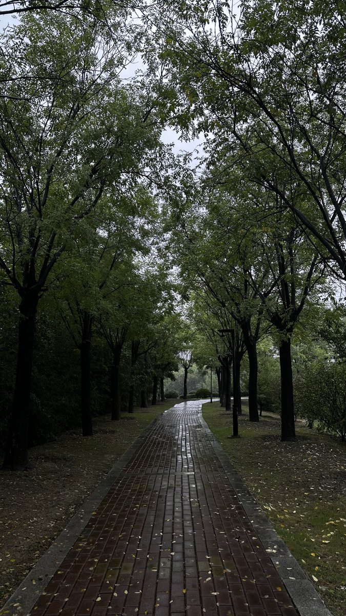 ysu1724758's tweet photo. 很久没单独发过风景图了 https://t.co/vbKYyib2ze