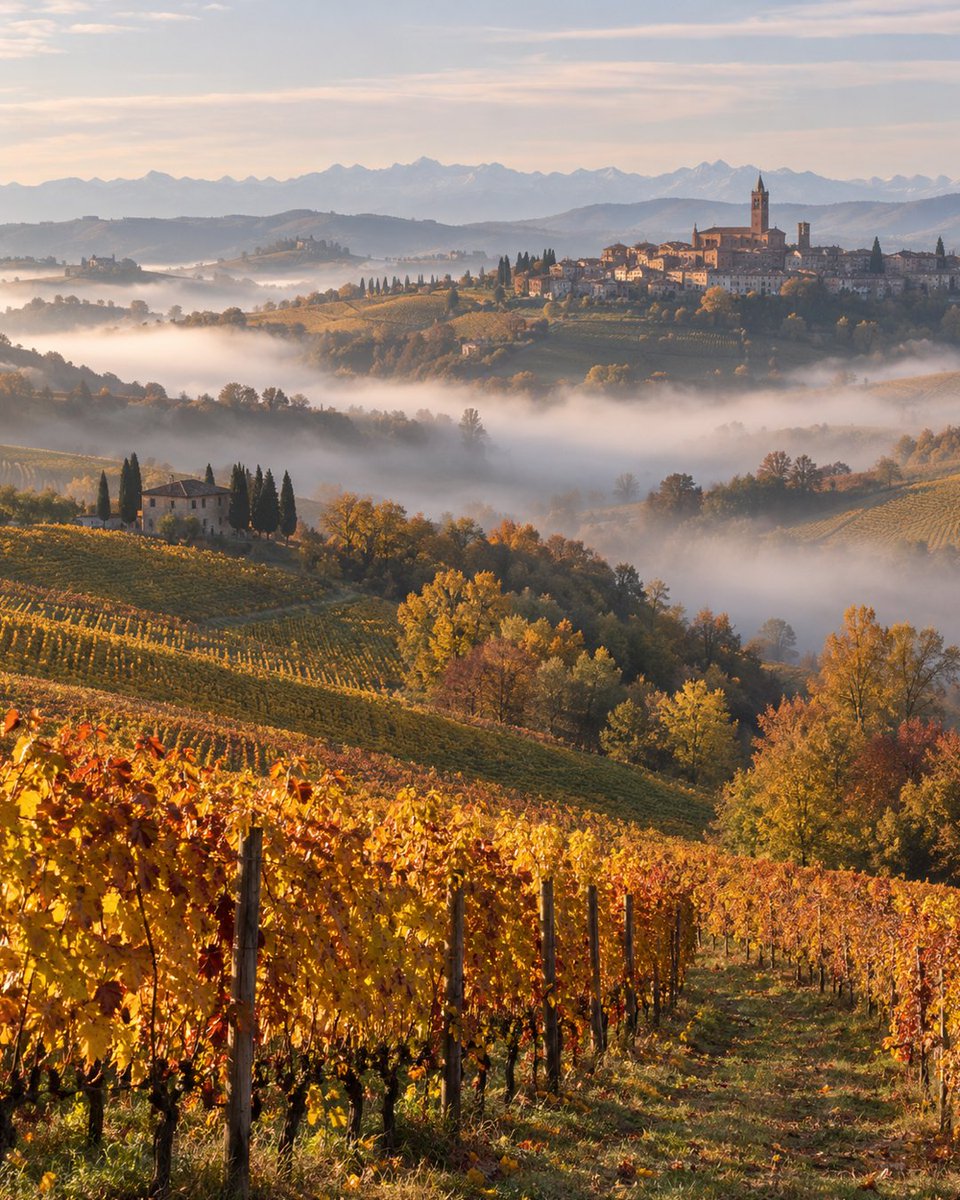 triplife_app's tweet photo. Alba's White Truffle Fair opens October 10 — nine Langhe weekends through December 6.
TripLife Daily Plans keeps tastings and hill-town stops in one view, without making the day rigid.
https://t.co/R2lAI0GkDU
#TripLife #TravelPlanning #TravelApp #AlbaTruffleFair #Italy https://t.co/rxIDnWFm3r