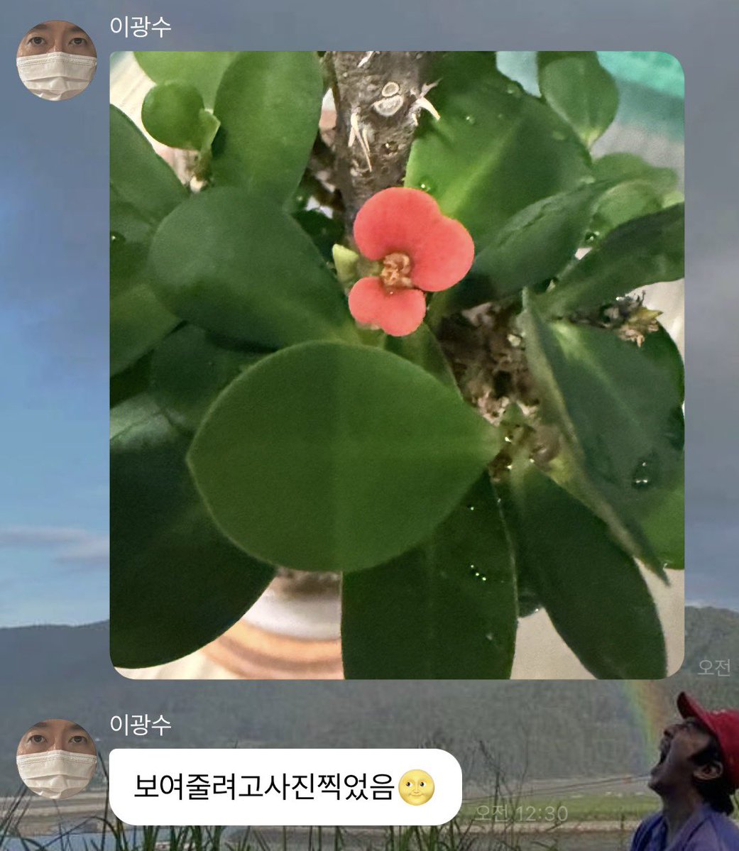 gwangffe714's tweet photo. 힐링됨.. ㅜㅜ https://t.co/tM1h2qEfqV