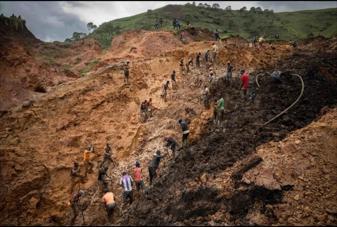 Info_sureri's tweet photo. 🚨🇨🇩 NUMBI : LES FORCES CONGOLAISES REPRENNENT UNE ZONE MINIÈRE STRATÉGIQUE
Les FARDC et les Wazalendo ont repris le contrôle de Numbi, à Kalehe. La zone est notamment connue pour ses ressources minières, dont la cassitérite. https://t.co/aASTKUb2vv