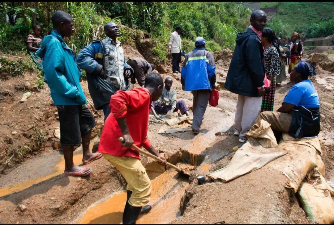Info_sureri's tweet photo. 🚨🇨🇩 NUMBI : LES FORCES CONGOLAISES REPRENNENT UNE ZONE MINIÈRE STRATÉGIQUE
Les FARDC et les Wazalendo ont repris le contrôle de Numbi, à Kalehe. La zone est notamment connue pour ses ressources minières, dont la cassitérite. https://t.co/aASTKUb2vv