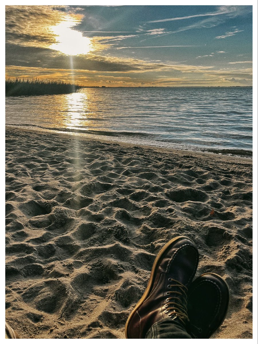 thatoldheart's tweet photo. Feierabend is schon wieder schlimm… https://t.co/zVDvx8qS5I