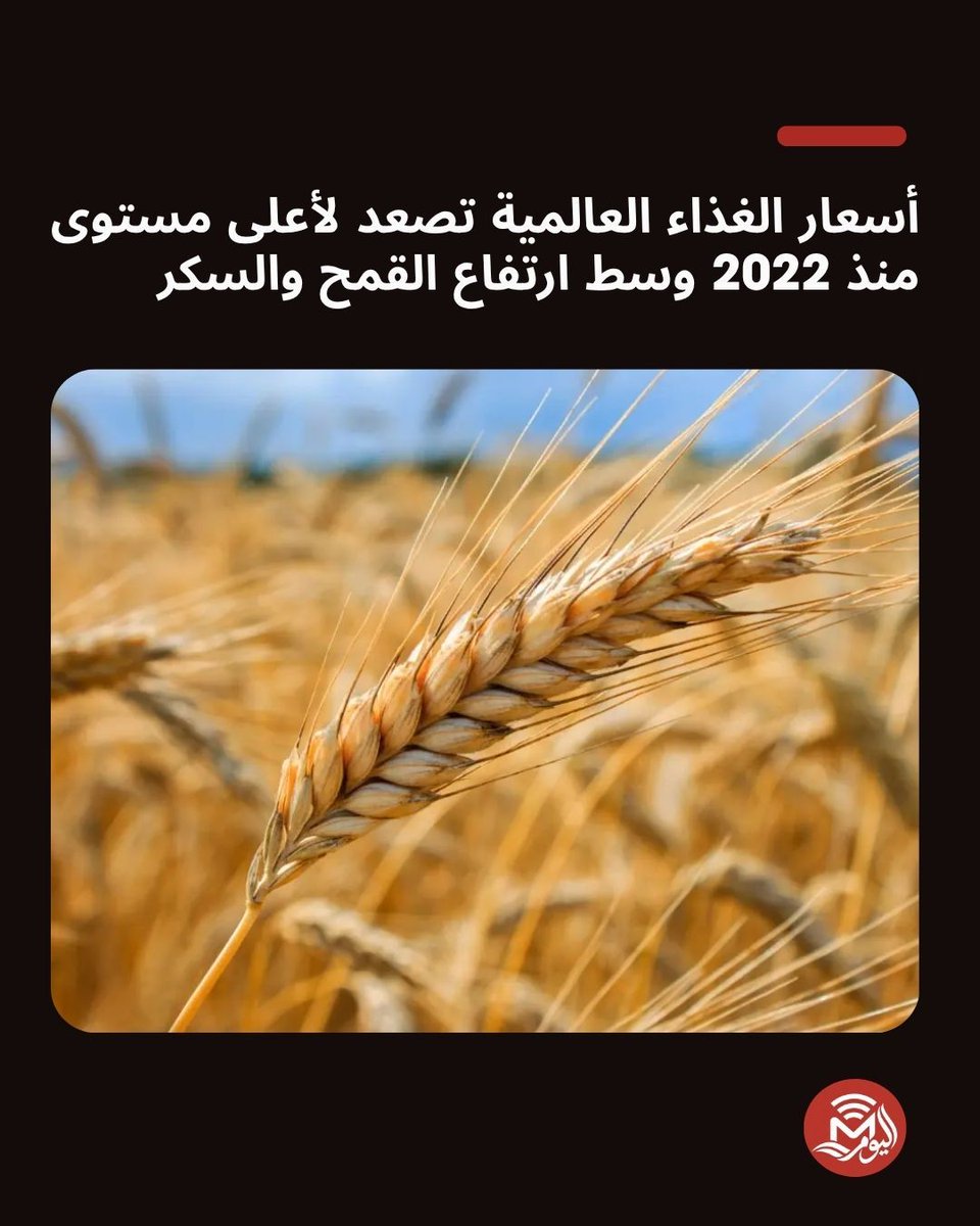 TodaymediaT's tweet photo. أسعار الغذاء العالمية تصعد لأعلى مستوى منذ 2022 
الطقس المتطرف واضطرابات التجارة والبحر الأسود تضغط على الأسواق.. 
التفاصيل وما وراء الأرقام:
https://t.co/Rd2ISZE48H 
#اقتصاد #الغذاء #القمح #التضخم #الأسواق #اليوم_ميديا https://t.co/4H0CjsvSV2