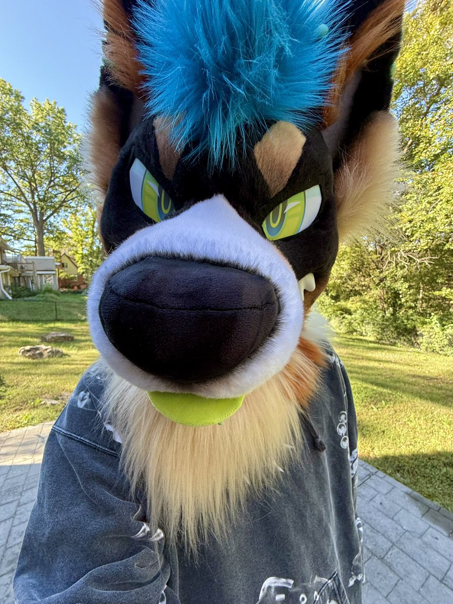 norfdog's tweet photo. Can I come over and stare at you like this https://t.co/DfDEtiwwE6