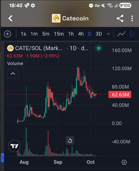 cottonxbt's tweet photo. the most obvious trades are right in front of you 99% of the time $CATE https://t.co/MNxY4vRujE