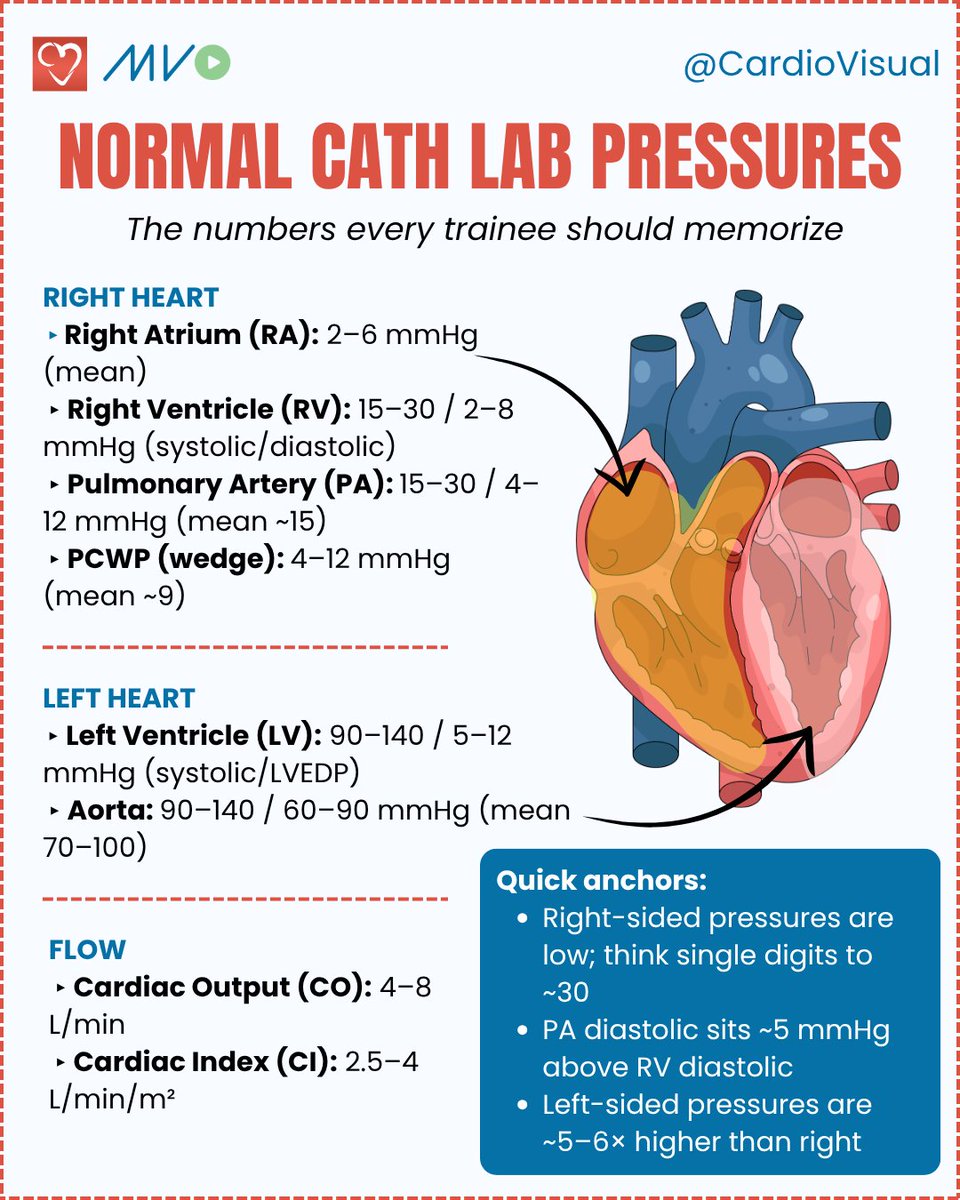 CardioVisualApp's tweet photo. Screenshot &amp; save this one for your reference.

🧡 Follow @CardioVisual for more expert-led visual cardiology.

#Cardiology #CathLab #Hemodynamics #MedEd #MedStudent #CardioFellow #Interventionalcardiology #CardiologyFellow https://t.co/ZzYwDIYQGo