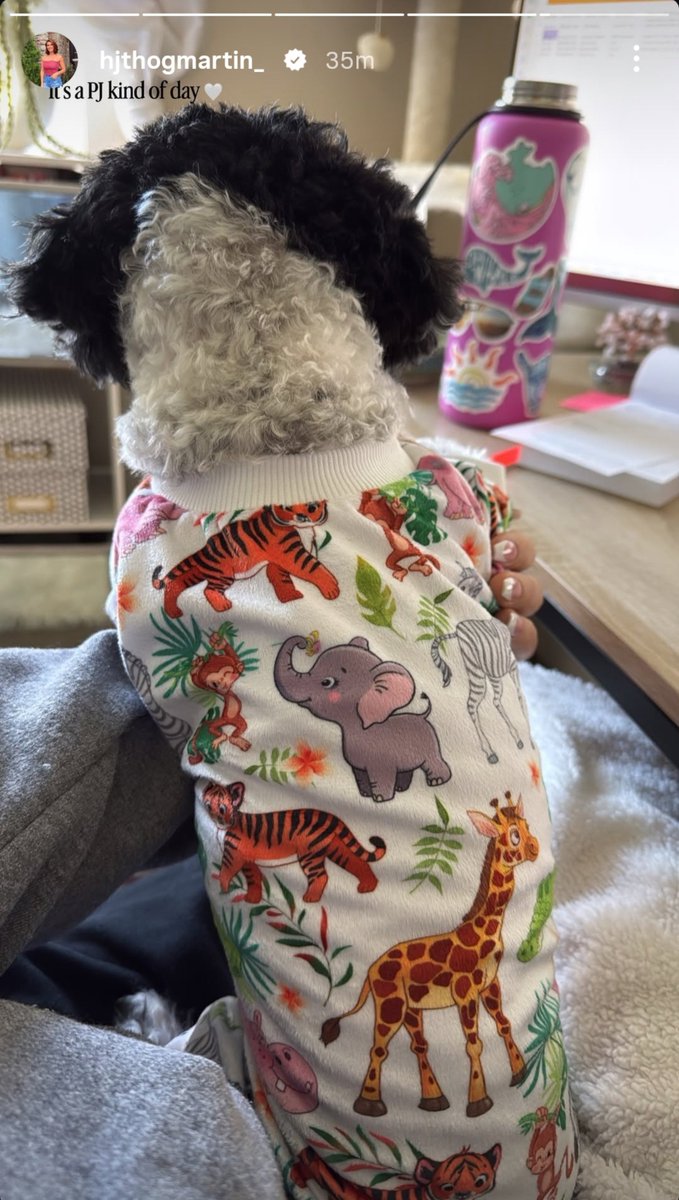 orbmombro's tweet photo. Haley Thog posted a photo of her sweet dog Loki in a wild animal patterned sweater, remarking that "it's a PJ kind of day 🤍". She also has a bottle with beach-themed &amp; whale stickers.

The animals on the PJ include tigers, zebras, monkeys, elephants, hippos, &amp; giraffes #bb28 https://t.co/wmNZmcB2YW