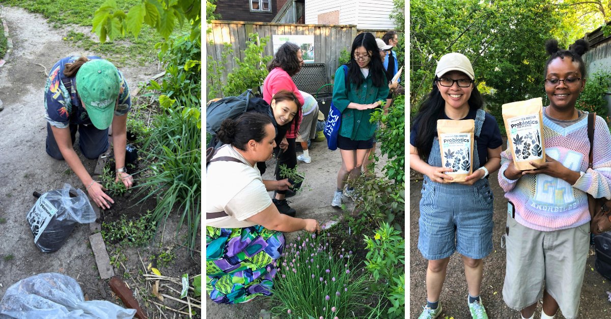 leaf's tweet photo. 🌳 A healthy urban forest starts with healthy soil!

Beneath our feet is a whole community of organisms working together. Trees, fungi, bacteria and other organisms all play a role in the soil food web.

Heal your garden’s soil with Jocelyn Molyneux:  https://t.co/FXX2gLO5fm https://t.co/pcnua8xXdm