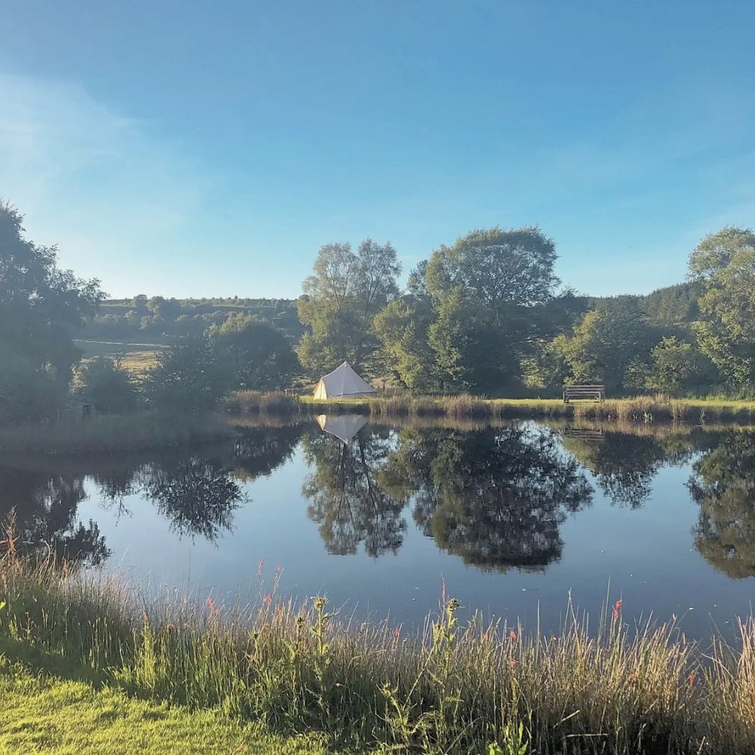 pitchup's tweet photo. A fishing trip for every level.
Llandegla Trout and Coarse Fishery has trout pools, coarse lakes, worm fishing and a family area for beginners. There’s tackle hire on site too!
https://t.co/r1NYQzuIw2 https://t.co/BYPUrbbF9i