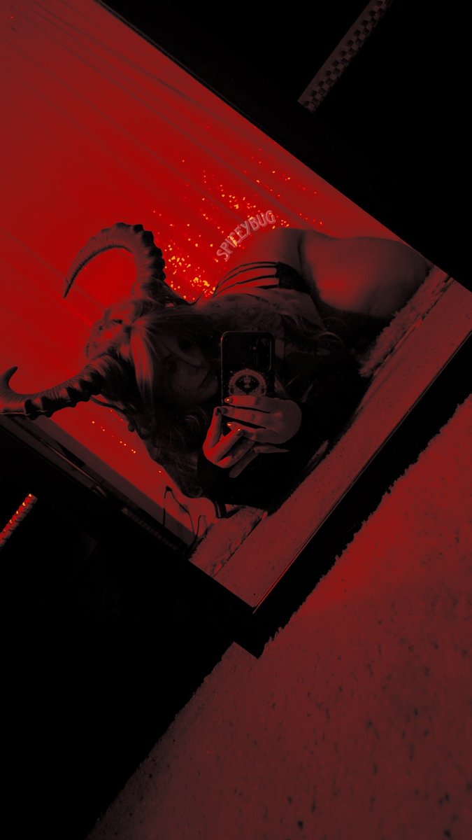 spiceybug's tweet photo. 𝕻𝖚𝖗𝖊 𝖘𝖎𝖓 𝖎𝖓 𝖆 𝖕𝖗𝖊𝖙𝖙𝖞 𝖕𝖆𝖈𝖐𝖆����𝖊 https://t.co/UrImTb2Zly