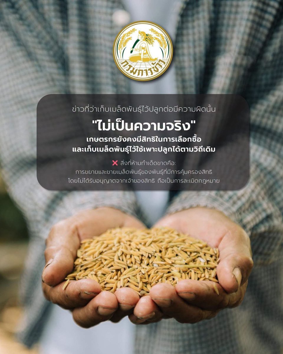 Aprilismyname__'s tweet photo. ข้อมูลจากกรมการข้าว รู้สึกว่าเขาเขียนไว้ครบถ้วน ทั้งข้อดี ข้อเสีย แนวทางต่าง ๆ ไปอ่านหาข้อมูลเพิ่มเติมกันได้ อย่ามัวแต่แชร์ข้อมูลที่ถูกส่งต่อในเน็ตมาแล้วไม่รู้กี่ทอด

https://t.co/7oI2Twaeu5 https://t.co/BWn43bfFcW