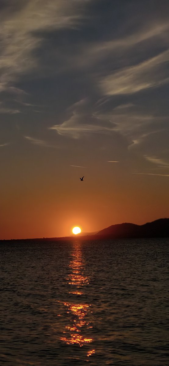 rendellstevens's tweet photo. #sunset #clouds #seagull https://t.co/Pzu3wYFUhb