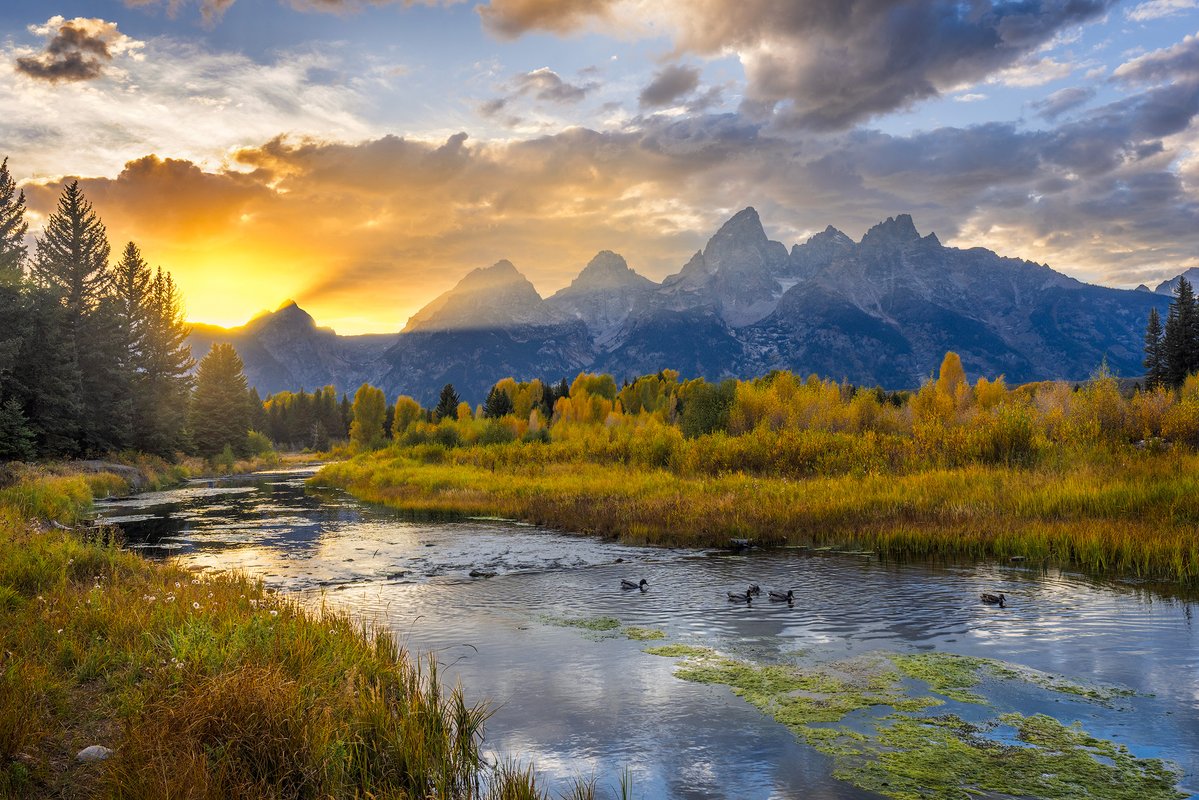 shrkshtr's tweet photo. Here is one more from my recent Fall in Grand Teton NP. I will be hosting this workshop once again next Sept 23-27 https://t.co/MaoHGtyuiZ We have (7) spots remaining. 

@GrandTetonNPS https://t.co/dEjUhFVkP4