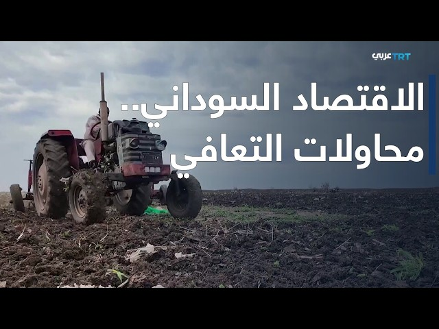 Ahmedbasherrr's tweet photo. الاقتصاد السوداني محتاج أكتر من مجرد استقرار سعر الصرف.

محتاج مصانع تشتغل، مزارع تنتج، طرق تفتح، وبنوك ترجع تخدم الناس.

الاقتصاد في النهاية ناس بتشتغل.

#اقتصاد #السودان https://t.co/x4QRkJL1vs