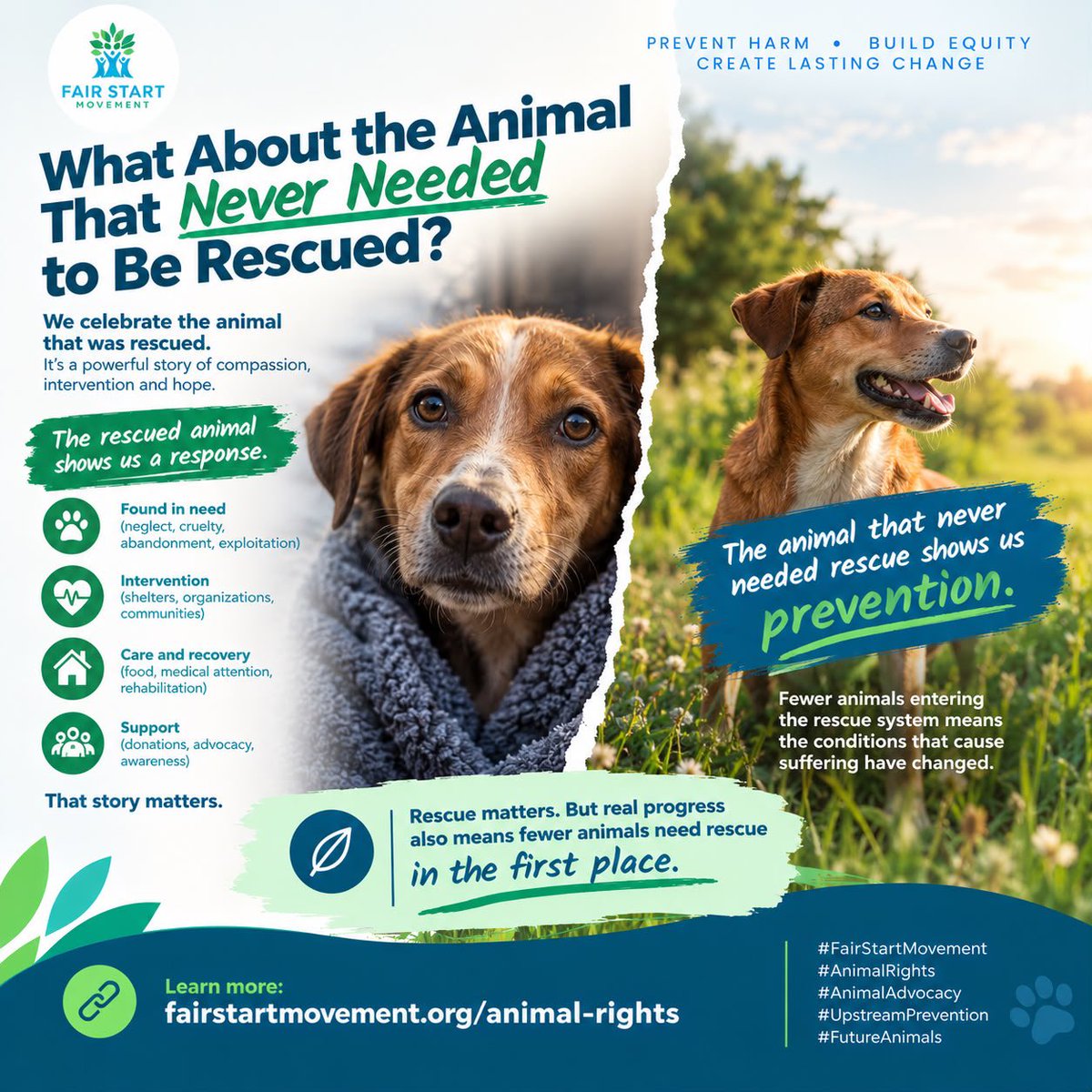 FairStartOrg's tweet photo. We celebrate the animal that was rescued.

But what about the animal that never needed rescue?

Fair Start asks whether success should mean fewer animals entering the rescue system in the first place.

https://t.co/oIg7PISwq9
#FairStart #AnimalRights https://t.co/an0CtbR3nF