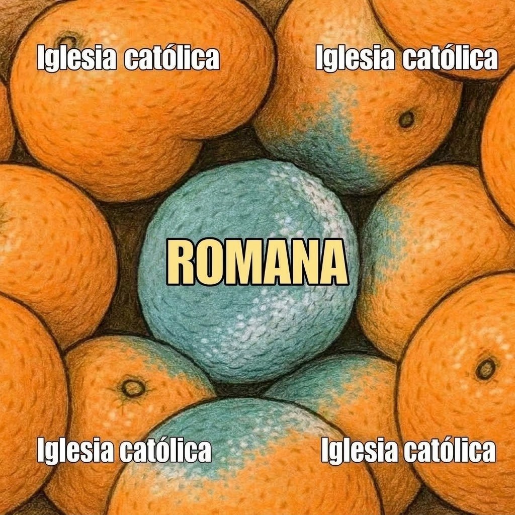 EmmanuelBarc's tweet photo. @Vagatelas768 @rebekah_e_s Espera que te lo arreglo. Solo va entender aquellos que saben historia. No apto para necios e ignorantes. https://t.co/IFQwTpOBwR