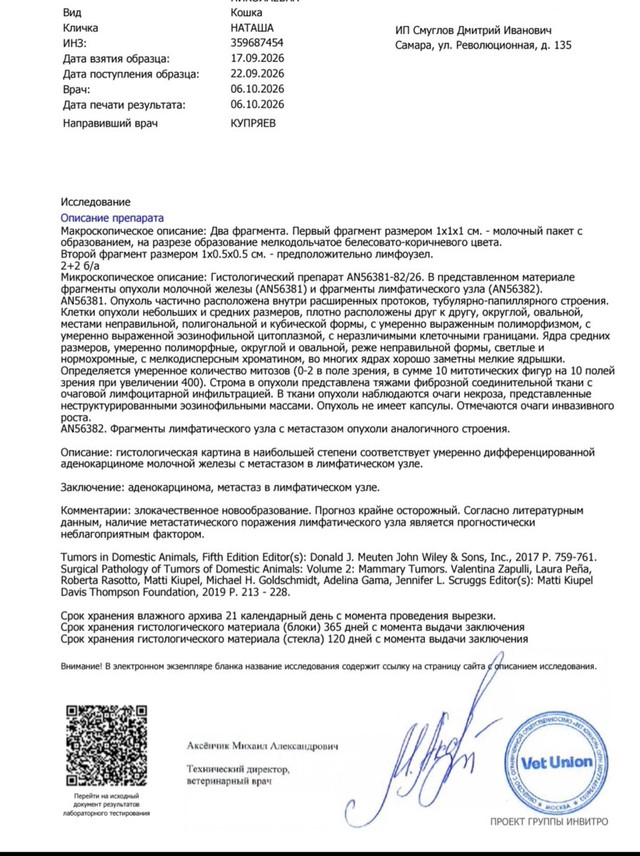 Oksana11451495's tweet photo. Как всё выдержать( Сегодня сняли швы у Наташи и вечером пришла гистология. Это зло - аденокарцинома😭. Нужно быстрее делать вторую операцию и начинать химию делать. И Стëпа нельзя прерывать лечение ФИП. Я не знаю как молить о помощи. Но я не вытяну их без чуда
СБ по т 89276016828 https://t.co/lNkFl5E4bt