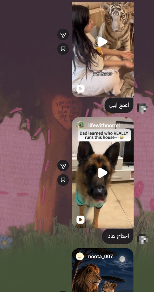 Allx1412's tweet photo. صديقتي كيف تشوف الحيوانات المفترسه: https://t.co/kERQIUcEbf