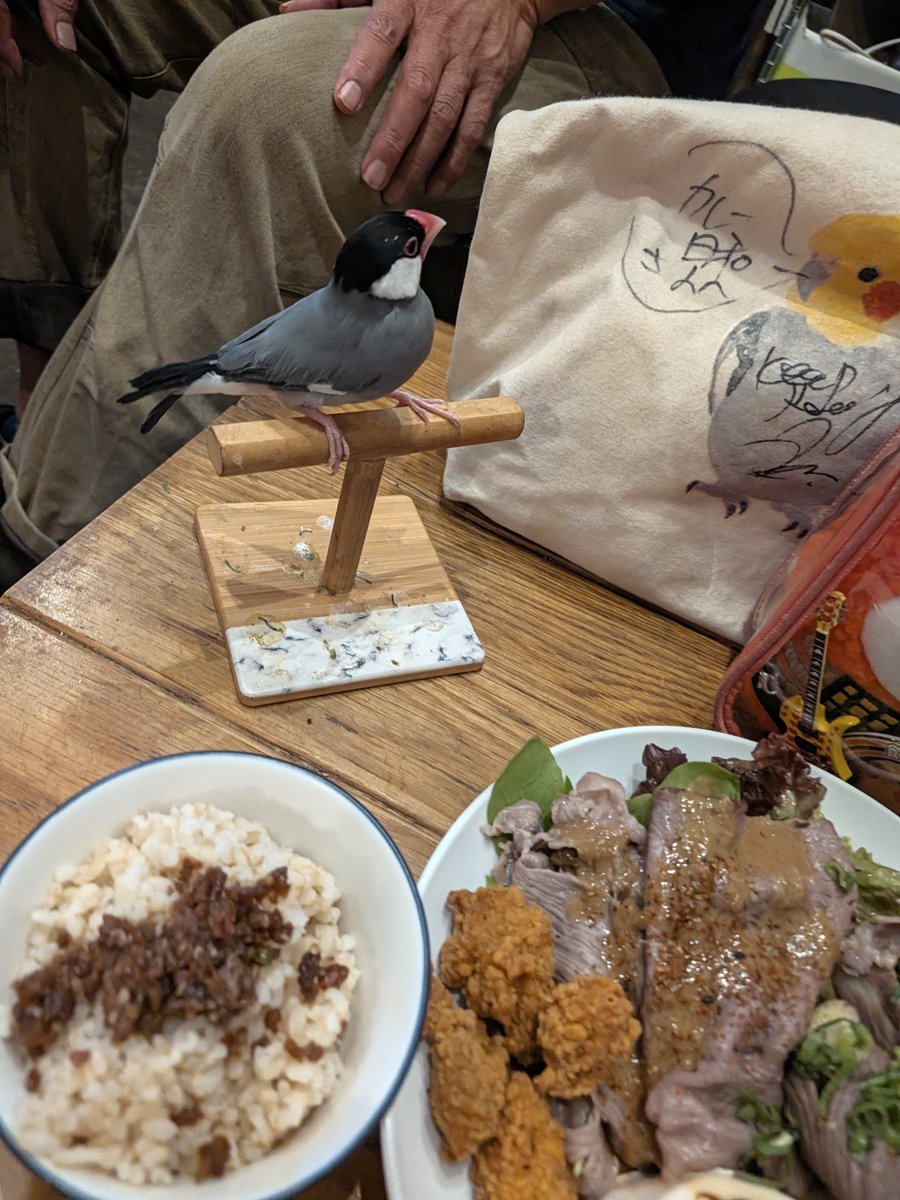 carry_oniku's tweet photo. 昨日のランチはお肉まみれ🥩✨

レアなくーりんの接客とともに
とろけるお肉をいただきました☺ https://t.co/jkj5BQAytx
