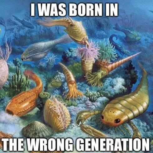 nocontextmemes's tweet photo. https://t.co/mVHa7pcjX9