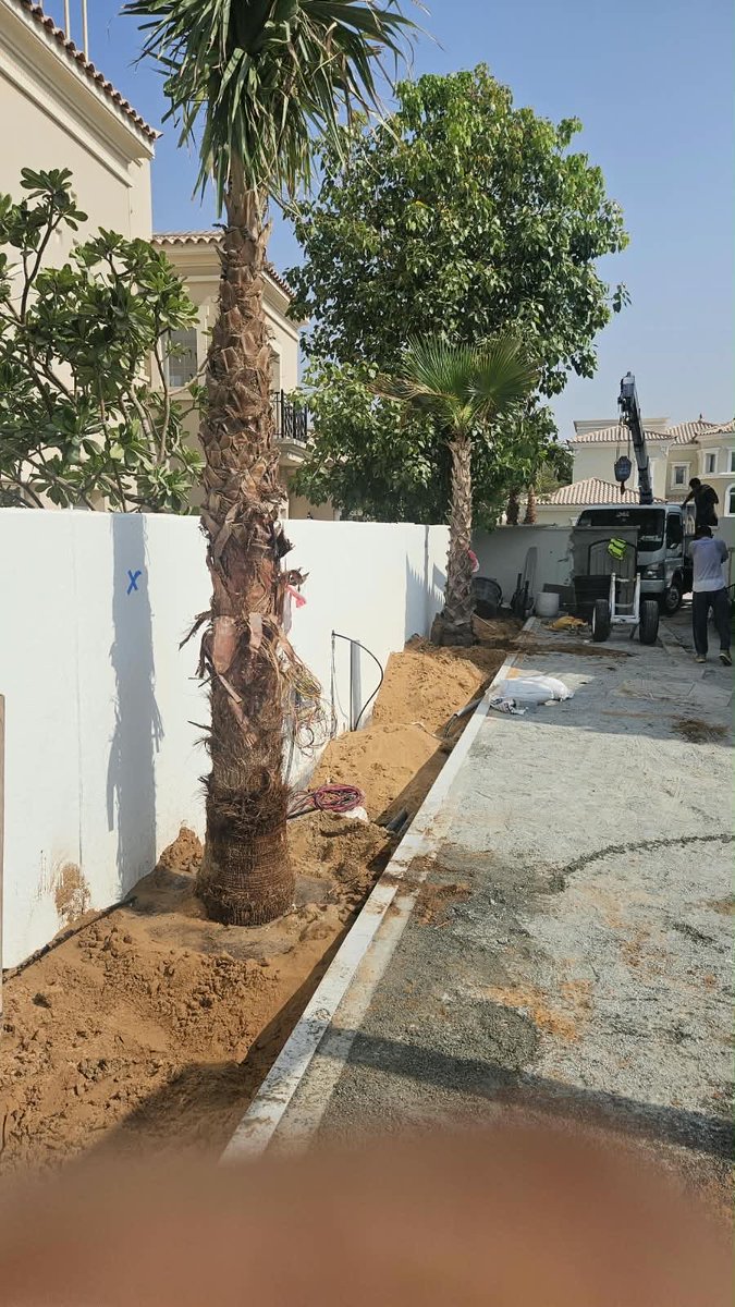 myplantsuae's tweet photo. Today’s plantation 🌴🚛 https://t.co/u6XfeT11PA
