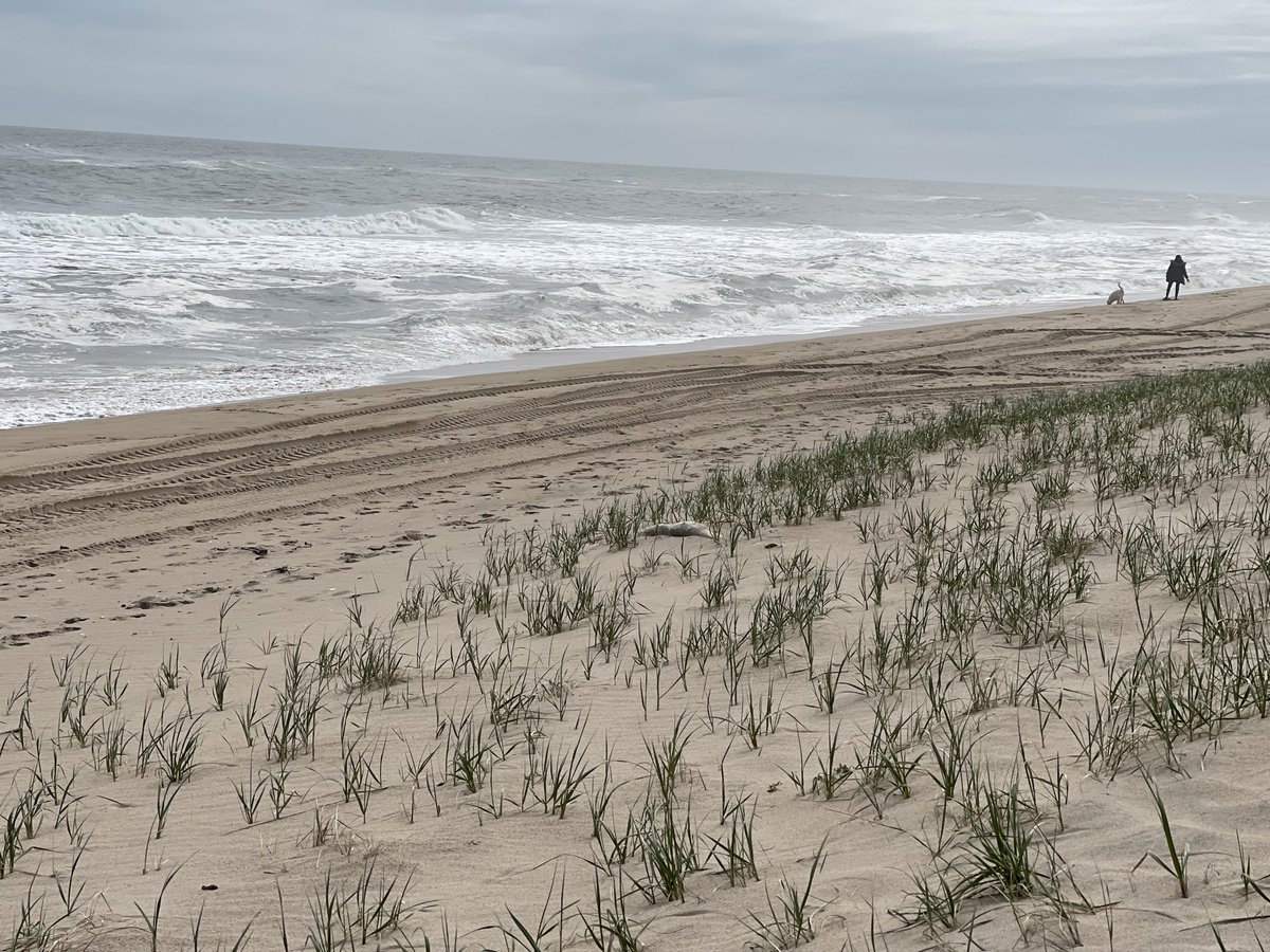 ChiChiGreenblat's tweet photo. I love Long Island. https://t.co/8DMs4HpmNf