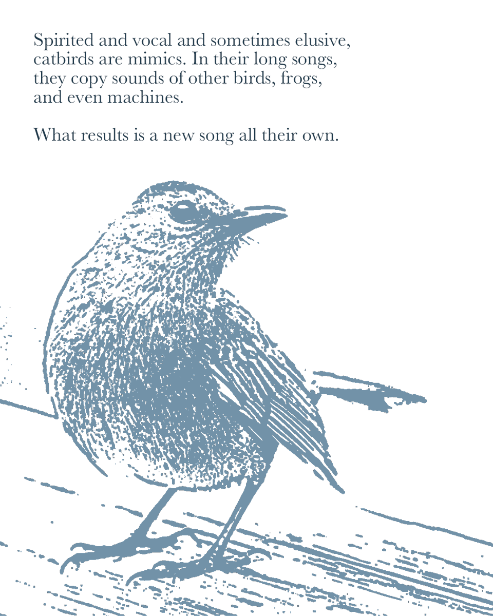 CatbirdReview's tweet photo. If a poem of yours came to mind reading this, we’d love to see it. Submissions are free and open until Dec. 31. Link in bio  #poetrycall #litmag https://t.co/uT3wxBFyJw