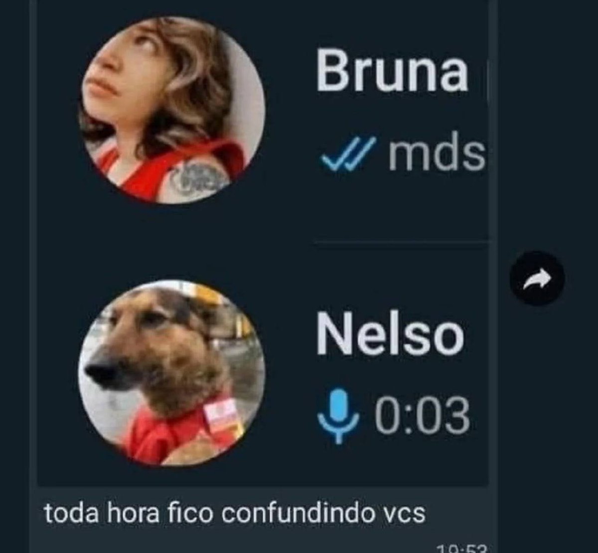 burrosgeniais's tweet photo. https://t.co/kTk0dP5gde
