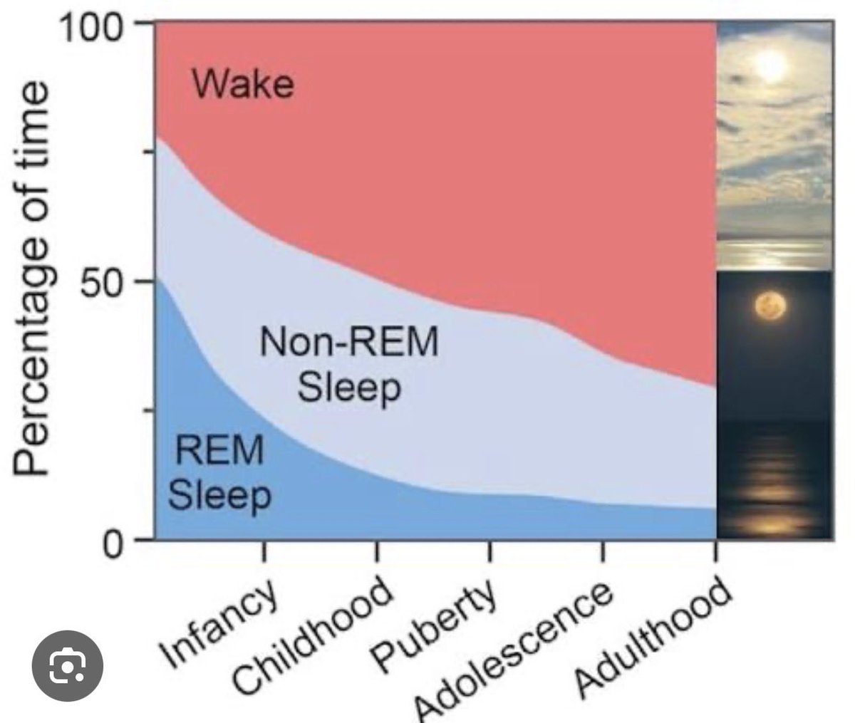 hubermanlab's tweet photo. @amankrai28 Yes, but their rhythm is going to be very up-and-down sleep wake throughout the 24 hour cycle and much of their sleep is REM for the first year. Sunlight still very beneficial, but obviously their eyes and skin are very sensitive so act accordingly. https://t.co/scN5zbY05T