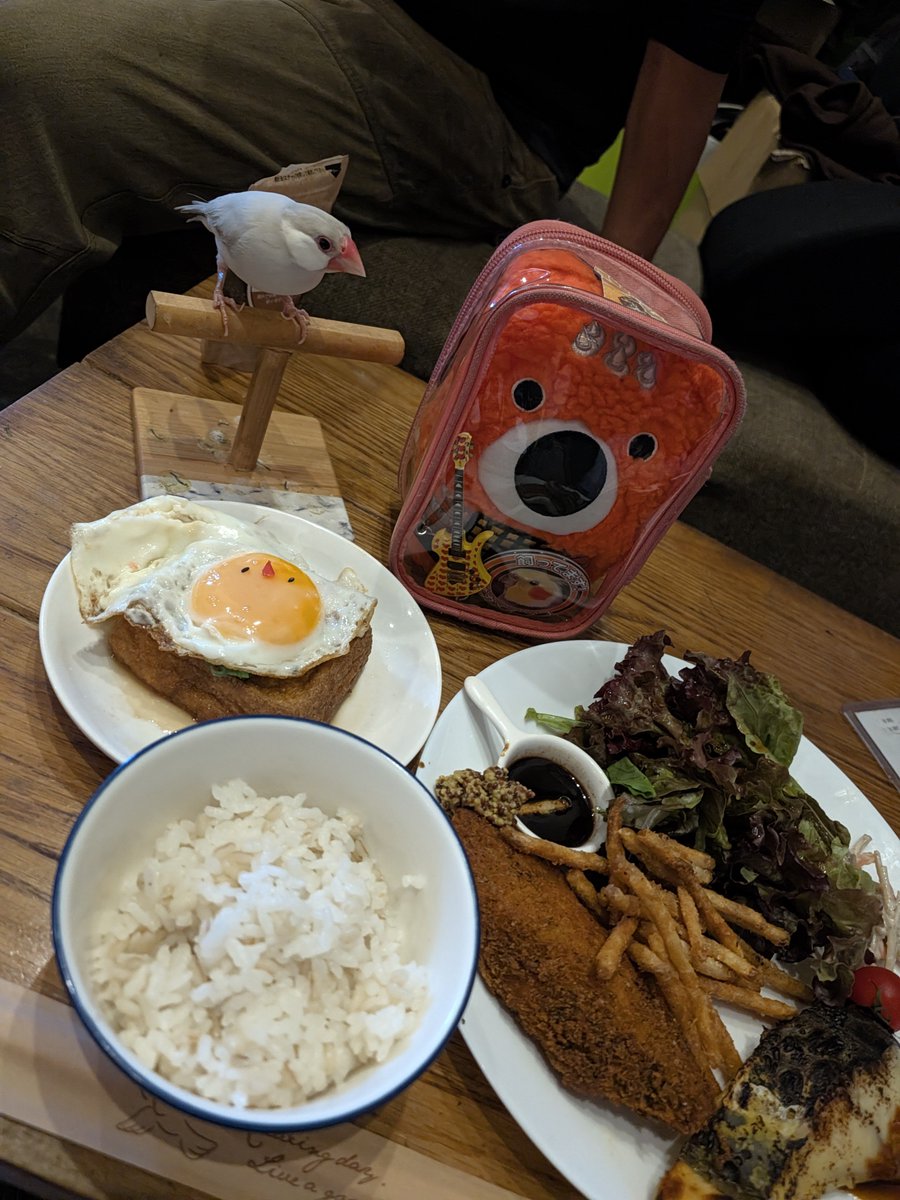 carry_oniku's tweet photo. 今日のランチはお魚たくさん

鰆の西京焼
&amp;フィッシュ&amp;チップス

焼魚のかおりに興奮する
ちまきちゃん接客で🎵 https://t.co/9Q5K8ncFGx
