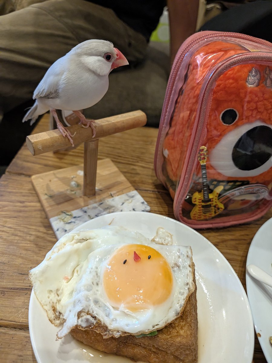 carry_oniku's tweet photo. 今日のランチはお魚たくさん

鰆の西京焼
&amp;フィッシュ&amp;チップス

焼魚のかおりに興奮する
ちまきちゃん接客で🎵 https://t.co/9Q5K8ncFGx