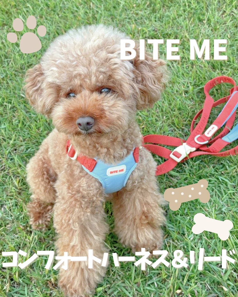 investors_BEI's tweet photo. BITE MEのコンフォートハーネスV2
コンフォートハンズフリーリードV2
毎日のお散歩がもっと快適に
首元を圧迫しにくい設計で
バックルを留めるだけで約3秒で装着
軽やかで動きやすく、デイリーの
お散歩にぴったりのハーネス🐶🤎
#BITEME #バイトミー #犬用ハーネス
#お散歩グッズ
PR https://t.co/yQgUBgFPm3