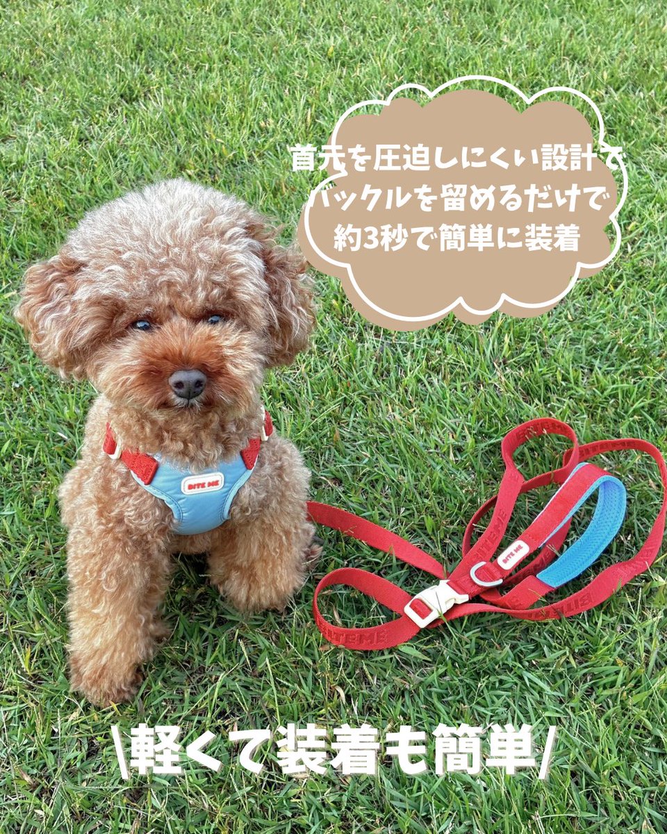 investors_BEI's tweet photo. BITE MEのコンフォートハーネスV2
コンフォートハンズフリーリードV2
毎日のお散歩がもっと快適に
首元を圧迫しにくい設計で
バックルを留めるだけで約3秒で装着
軽やかで動きやすく、デイリーの
お散歩にぴったりのハーネス🐶🤎
#BITEME #バイトミー #犬用ハーネス
#お散歩グッズ
PR https://t.co/yQgUBgFPm3