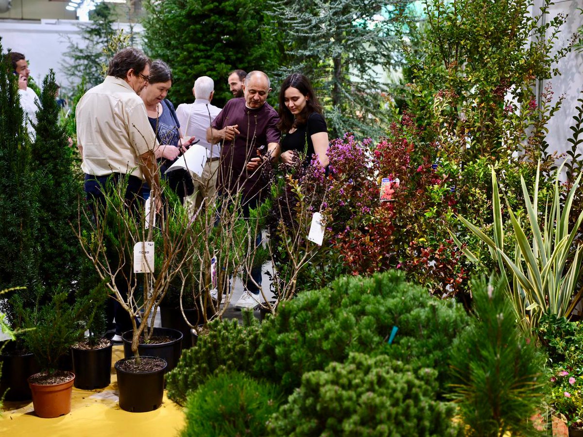 AsocFeriasEsp's tweet photo. 🌴 De una trampa para mosquitos sin insecticidas a palmeras de cinco metros: @Iberflora muestra en su primera jornada  en @Feria_Valencia cómo innova el sector verde.

ℹ️ Más info: https://t.co/BQN6YmecIU

@Eurobrico 
#AsocFeriasEsp #feriasComerciales #Exhibitions https://t.co/TE5Z9crtr2