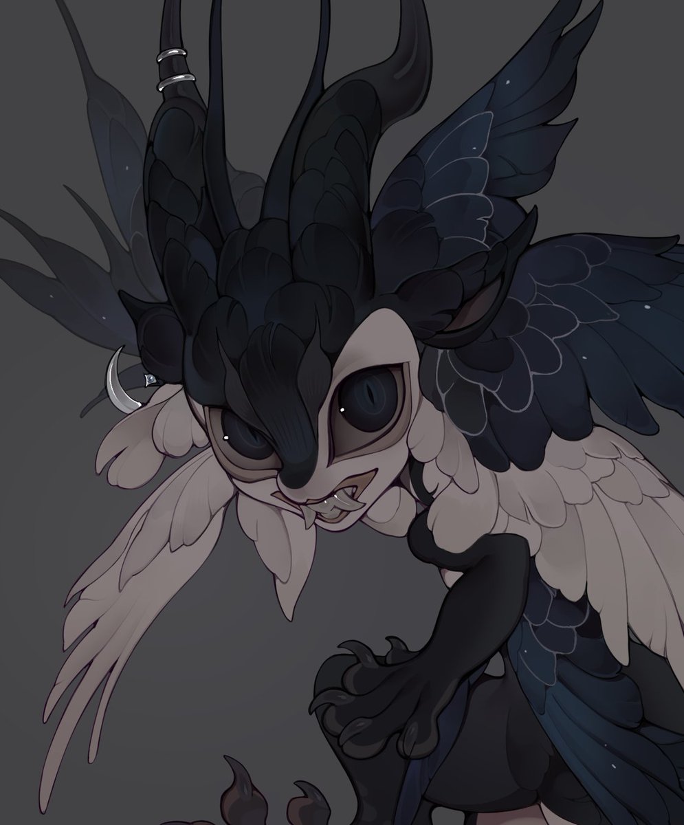 sweet_julien's tweet photo. lots of feathers! https://t.co/6HBItynb84
