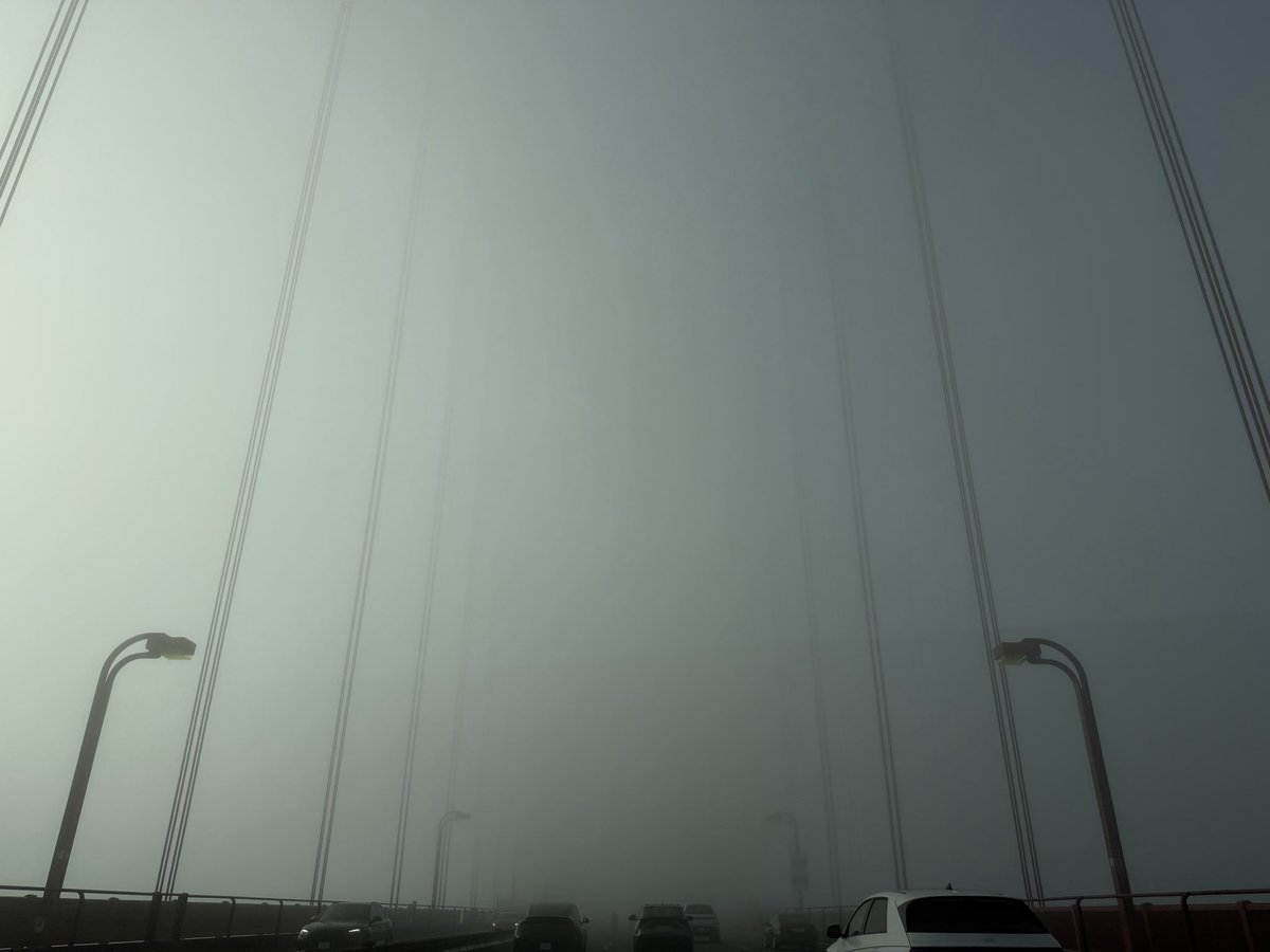 knothacker's tweet photo. Cool fog day in San Francisco today. https://t.co/XhFYHWdm2M
