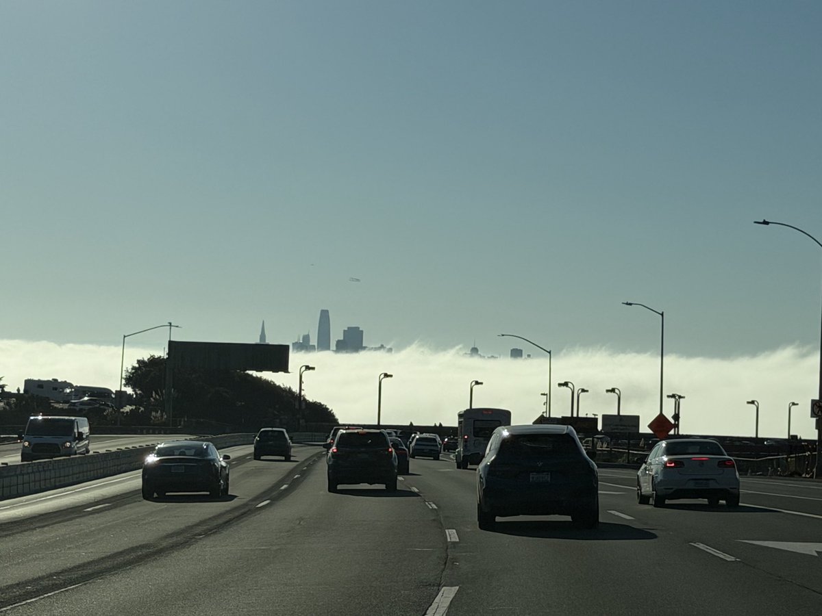knothacker's tweet photo. Cool fog day in San Francisco today. https://t.co/XhFYHWdm2M
