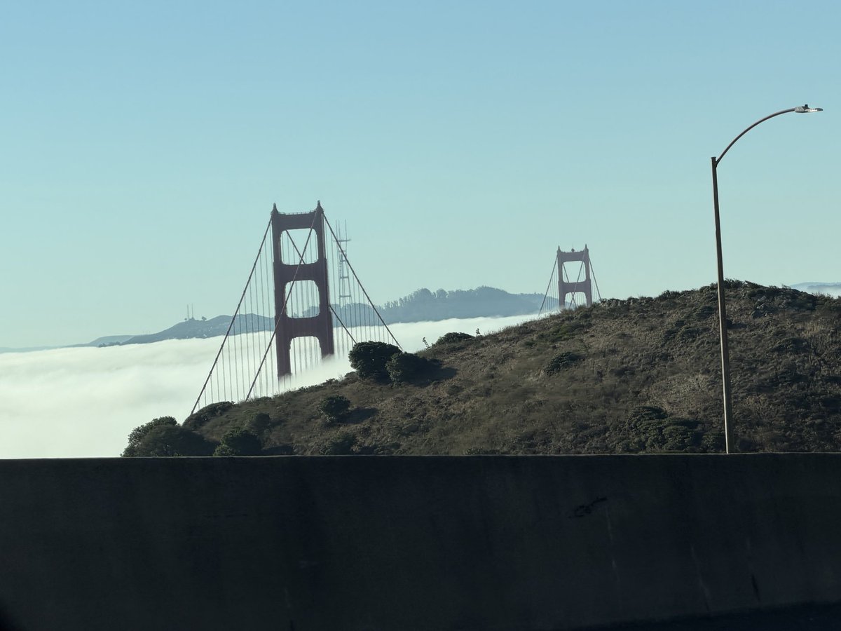 knothacker's tweet photo. Cool fog day in San Francisco today. https://t.co/XhFYHWdm2M