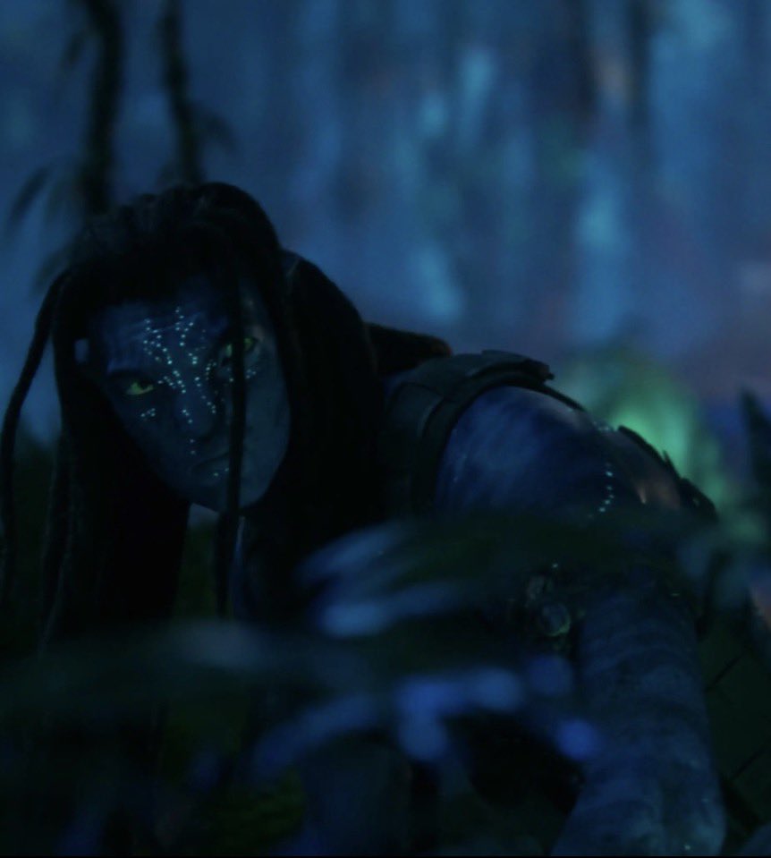 neytirisgroove's tweet photo. creature of the night https://t.co/NfaVV9mG1l