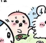 heariamm's tweet photo. 카니 귀 지우면 귀여움 2배됨 https://t.co/7vHhtLY36G