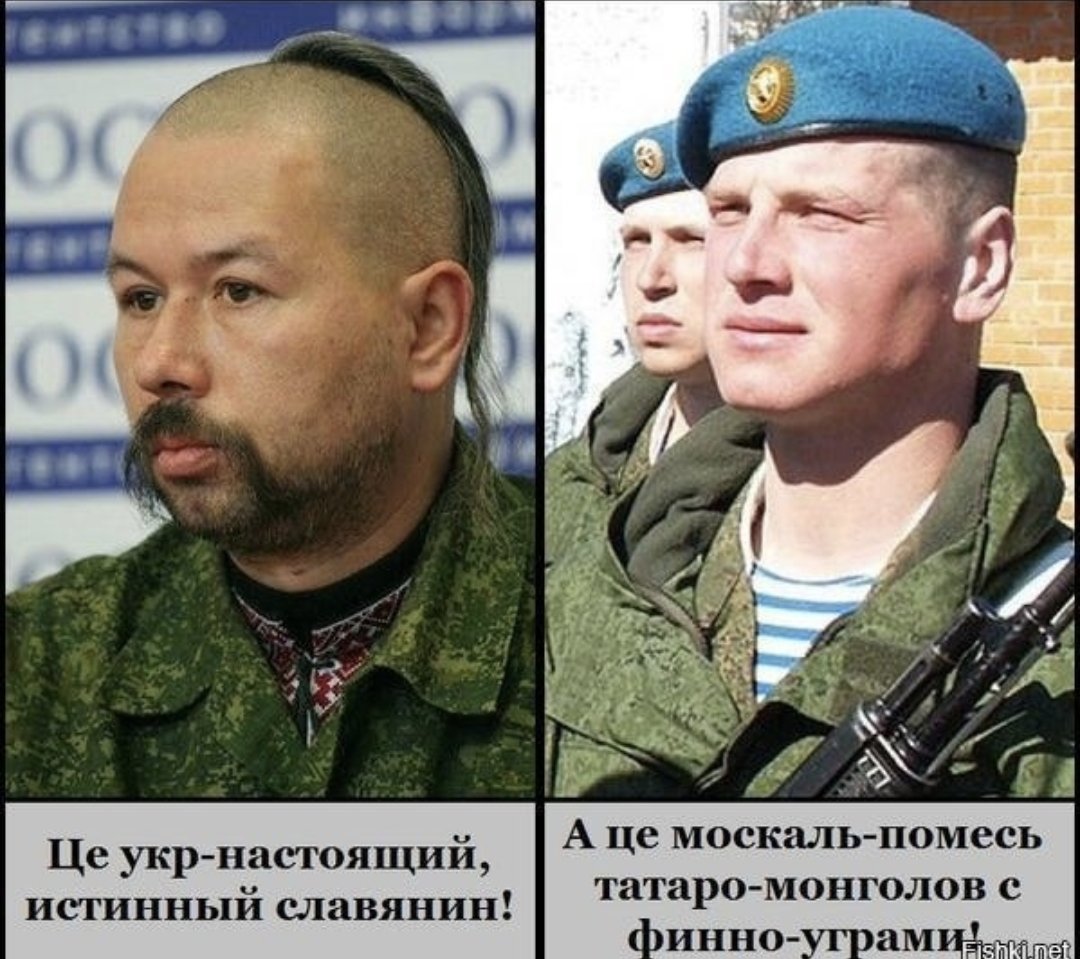 nemolevich's tweet photo. @potatatamata @Nimfae7 @Tempund А что извини свиной не понимаю https://t.co/lWyjQAO6tK