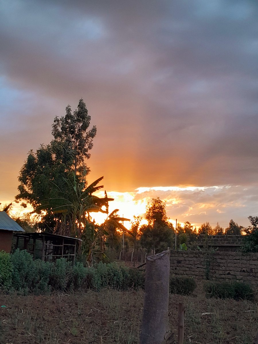 VictorWins_'s tweet photo. Evening view. https://t.co/D9XYuEaA9i