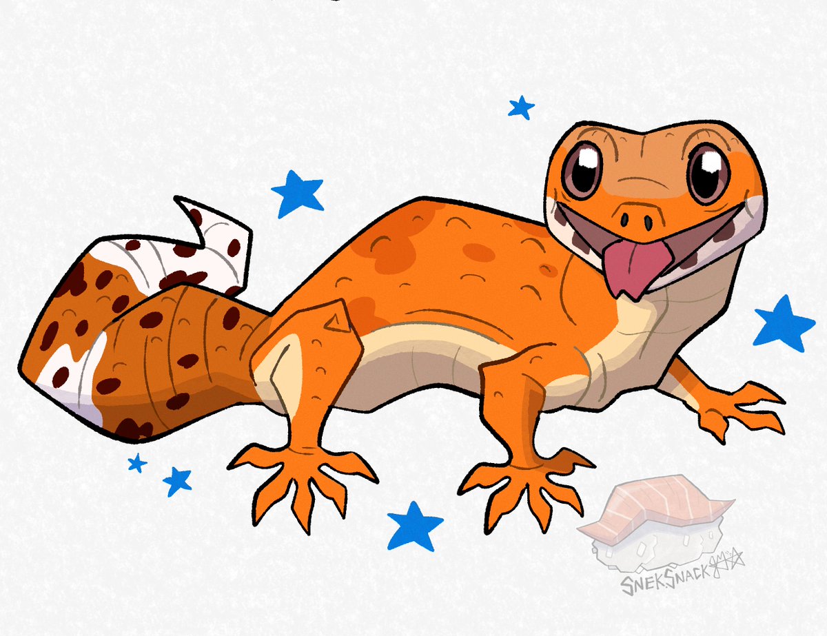 Snek_Snack's tweet photo. Have some friends. Just a few of them 🐍🦎⭐ https://t.co/saYjFmkbh8