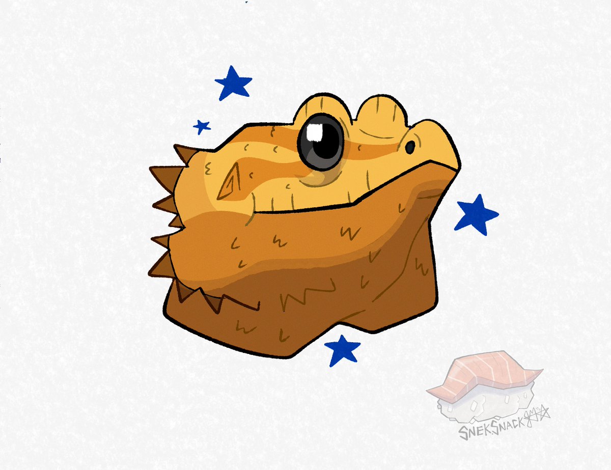 Snek_Snack's tweet photo. Have some friends. Just a few of them 🐍🦎⭐ https://t.co/saYjFmkbh8