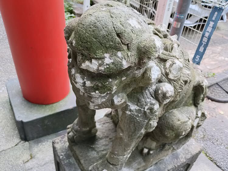 Izumi_Sunagawa's tweet photo. 富岡八幡宮の狛犬様が何者かによって、
ハンマー🔨で殴られ頭にクラック等の破損。

誰だ、こんな罰当たりな事するのは💢

絶対に許されないぞ！ふざけるな！ https://t.co/Y1BJoZJaTJ