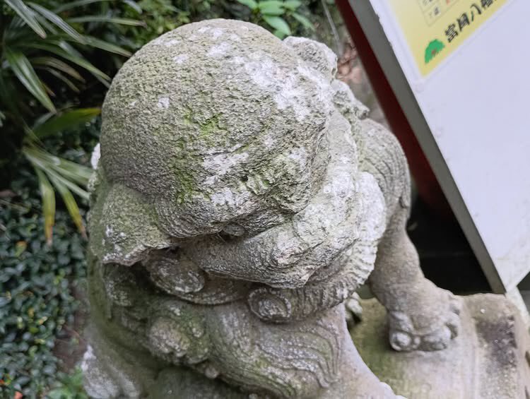 Izumi_Sunagawa's tweet photo. 富岡八幡宮の狛犬様が何者かによって、
ハンマー🔨で殴られ頭にクラック等の破損。

誰だ、こんな罰当たりな事するのは💢

絶対に許されないぞ！ふざけるな！ https://t.co/Y1BJoZJaTJ