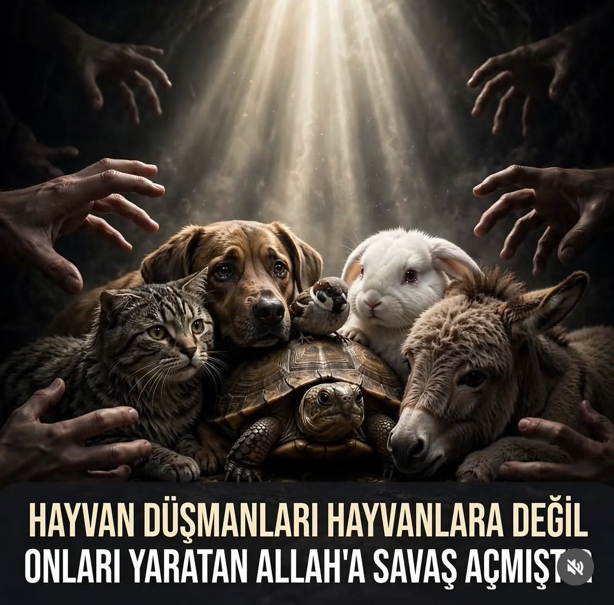 yasatalim35's tweet photo. https://t.co/Esc6cKSVq9