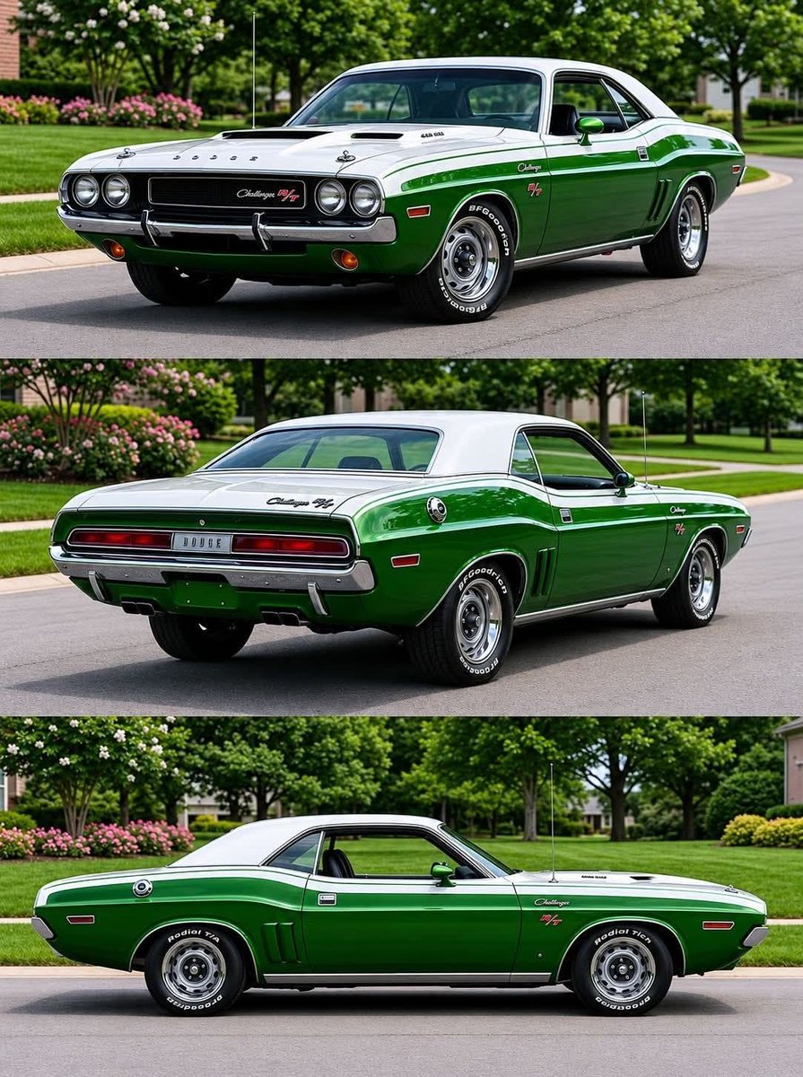 Sofia50020Sofia's tweet photo. Based on your experience, can you tell what year this Dodge Challenger is from?

1. 69
2. 73
3. 56
No cheating allowed! https://t.co/kHHnptp7vH