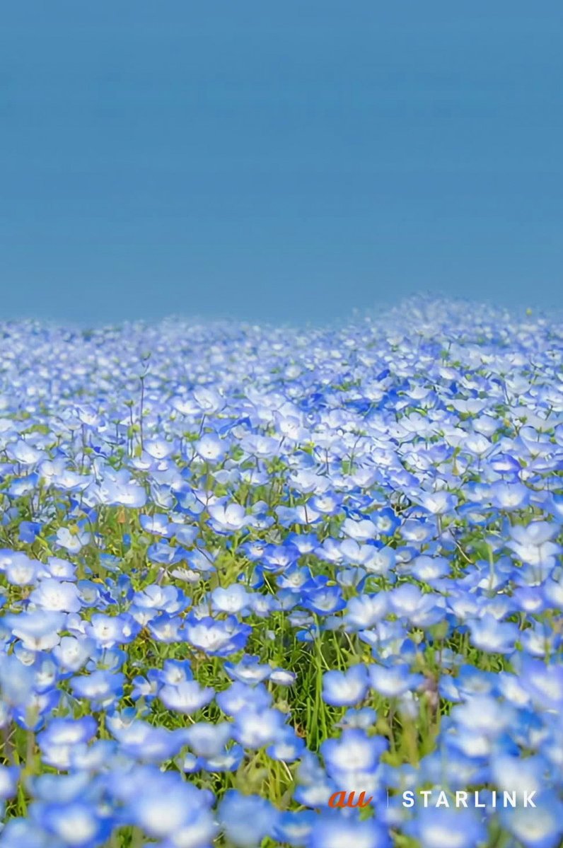 Abedjunior2's tweet photo. リアタイしたすぎる、縛り見てええええ https://t.co/REPpp4pn0L