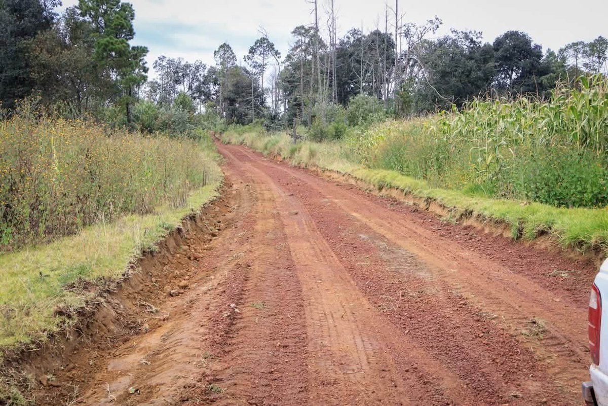 RiveraTrejoJuan's tweet photo. 🚜 ¡12 kilómetros más y seguimos avanzando hacia la meta de 760!
#Acción233 | El #MantenimientoMasivodeCaminos continúa avanzando por nuestras comunidades. Esta vez, el recorrido nos llevó desde #VentaAhumada, pasando por #CiénegaLarga, hasta llegar a #Teopan.
En este trayecto recuperamos 12 kilómetros más de caminos, beneficiando también a las comunidades de El Doce, Cerro de la Virgen, Agua Santa y Llano del Conejo. 🤝✨
Cada kilómetro representa mejores caminos, mayor conectividad y nuevas oportunidades para las familias de nuestras comunidades. ❤️
Kilómetro a kilómetro, seguimos avanzando con rumbo a los 760 kilómetros. 💪🚜
#Chignahuapan #MásTerritorioMenosEscritorio